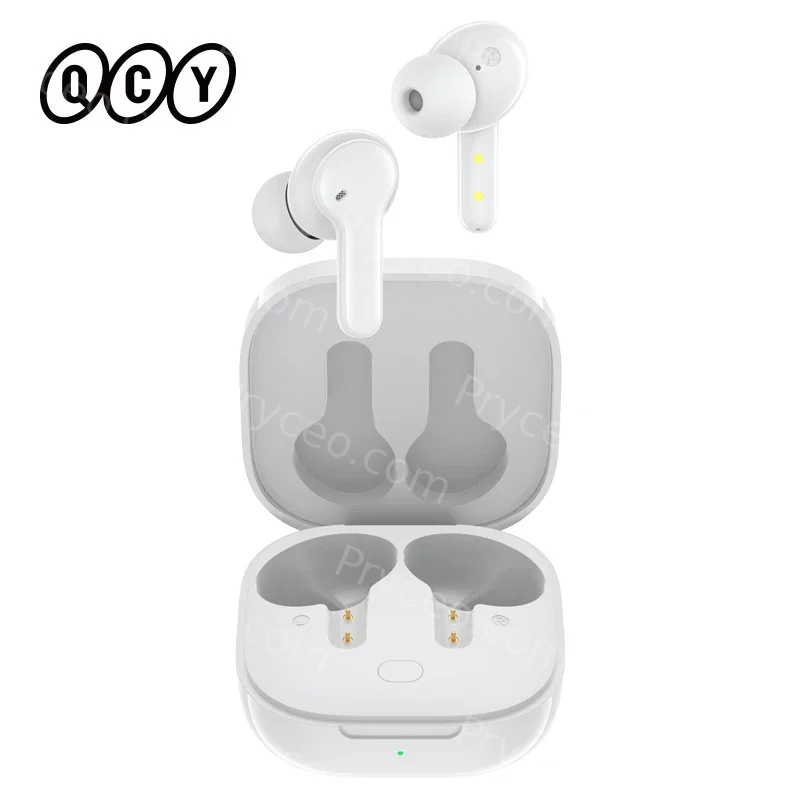 QCY  T13