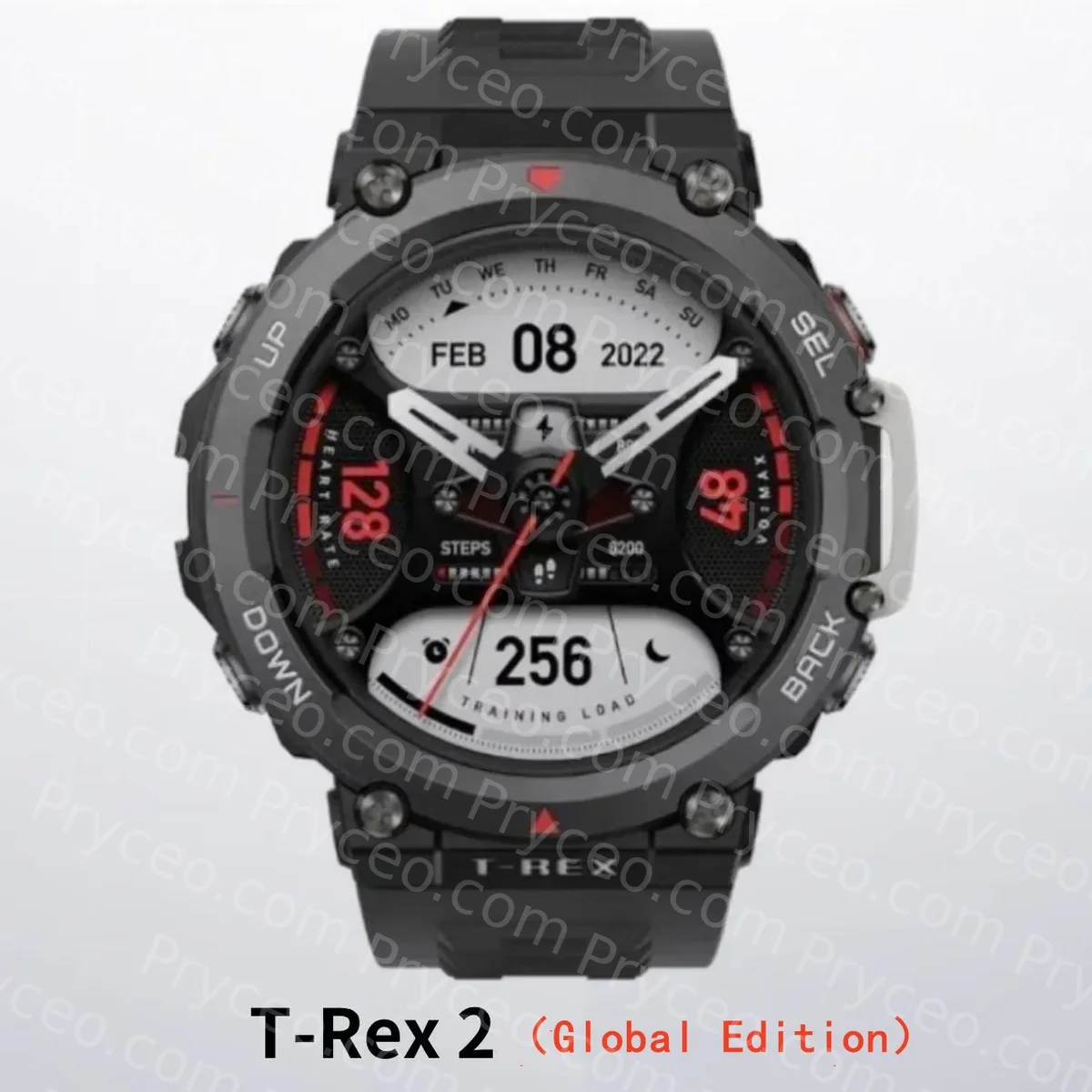 Amazfit T-Rex 2